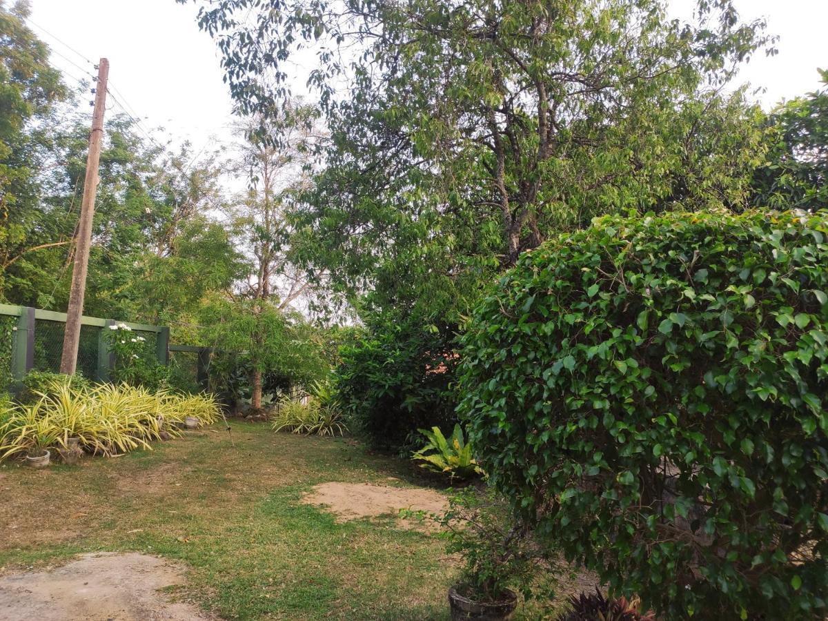 Bird House Homestays Тангалле Екстер'єр фото