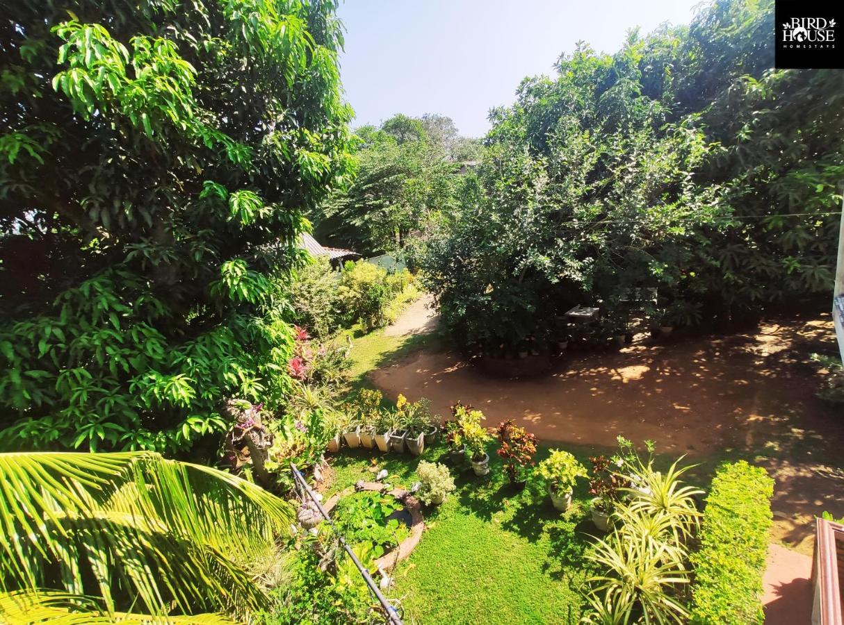 Bird House Homestays Тангалле Екстер'єр фото